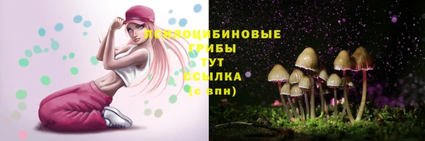 герыч Абаза