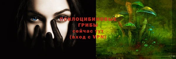 ГАЛЛЮЦИНОГЕННЫЕ ГРИБЫ Абдулино