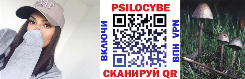 Псилоцибиновые грибы мицелий Сим